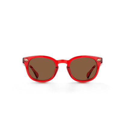 Xlab Sunglasses for Men and Women 8004 Moscot style