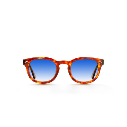 Xlab Sunglasses for Men and Women 8004 Moscot style