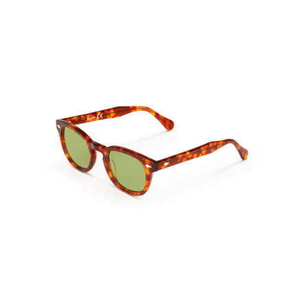 Xlab Sunglasses for Men and Women 8004 Moscot style