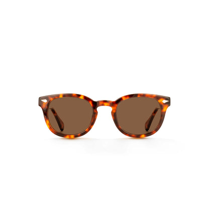 Xlab Sunglasses for Men and Women 8004 Moscot style